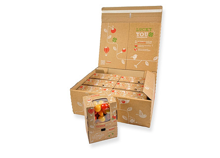 Tomatenpakket Toma'box